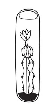 Cactus for coloring books. Vector illustration. Stock Illustration