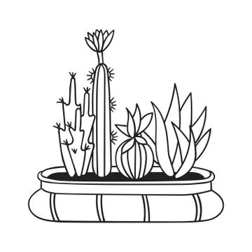 Cactus for coloring books. Vector illustration. Stock Illustration
