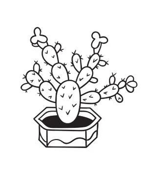 Cactus for coloring books. Vector illustration. Stock Illustration