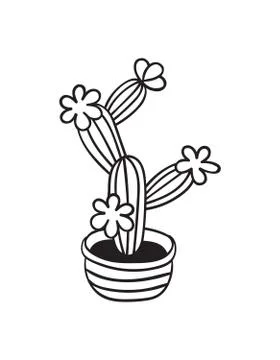Cactus for coloring books. Vector illustration. Stock Illustration