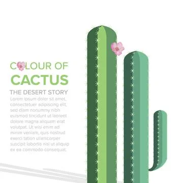 Cactus colour of the desert Stock Illustration