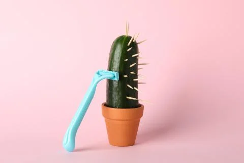 Cactus cucumber in pot and razor on pink background, space for text Stock Photos