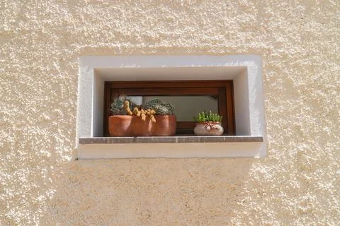 Cactus Decor on Window Ledge in Natural Sunlight 写真素材