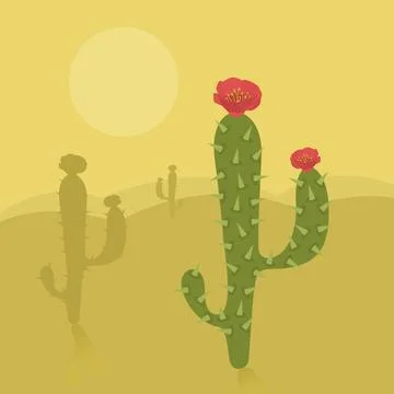 Cactus desert 스톡 사진