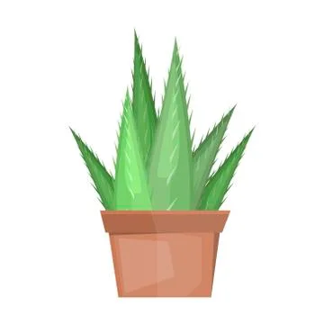 Cactus desert plant vector Stock Illustration