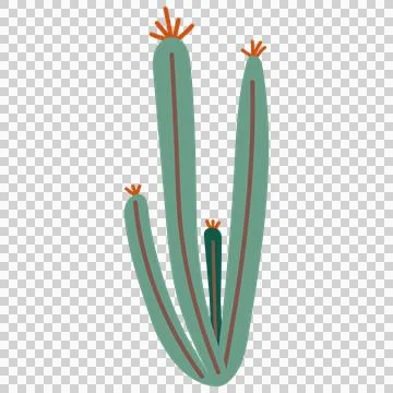 Cactus doodle cute flat design succulent collection abstract sustainable arts. 스톡 일러스트