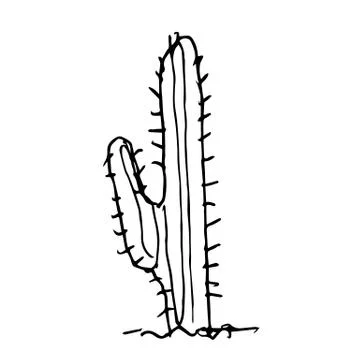 Cactus doodle hand drawn Stock Illustration
