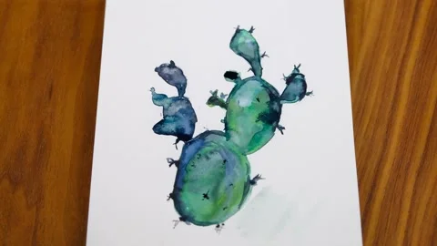 Cactus drawing arts Stock Footage 236280906