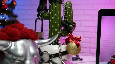 Cactus dressed up In accessories for BDSM games on the Christmas table with Stock Footage 144749094