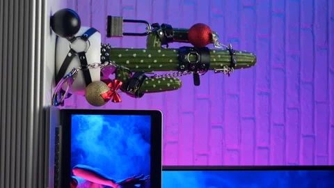 Cactus dressed up In accessories for BDSM games on the table next to the TV and Stock Footage 144750902