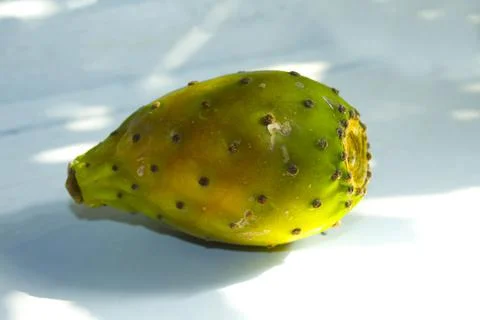 Cactus figs on a white background Stock Photos