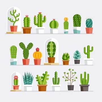 Cactus flat style. Vector illustration. Illustrazione stock