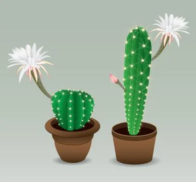 Cactus with flower 스톡 일러스트