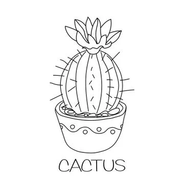 Cactus in flower pot Stock Illustration