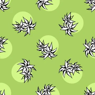 Cactus flower seamless vector pattern. Vector hand drawn green succulent cact Stock Illustration