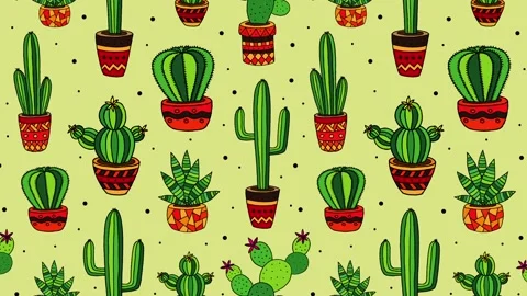 Cactus Stockbeeldmateriaal 146970593