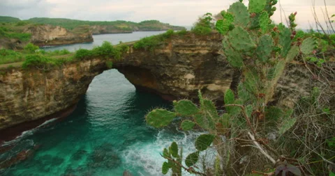 Cactus in foreground of Broken Beach natural arch rock formation and sea view in Video stock 327497398