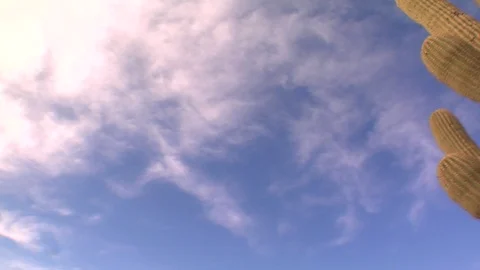 Cactus in front of blue sky desert Arizona New Mexico cacti B Stock Footage 125277973
