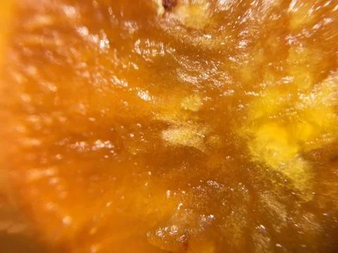 Cactus fruit background unit isolate Stock Photos