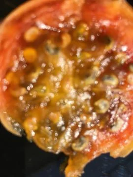 Cactus fruit background unit isolate Stock Photos