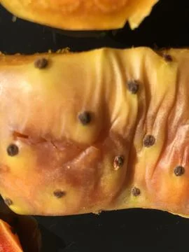 Cactus fruit background unit isolate Stock Photos