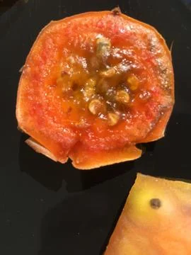 Cactus fruit background unit isolate Stock Photos