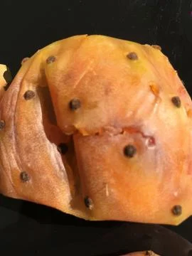 Cactus fruit background unit isolate Stock Photos