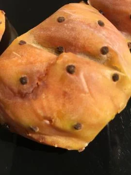 Cactus fruit background unit isolate Stock Photos