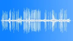 Cactus Ground Finch CallsSound Effect