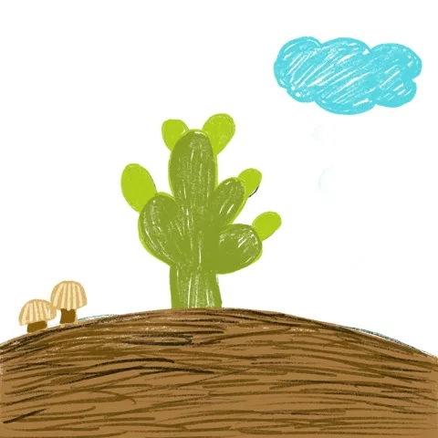 Cactus growing in square background Stock Footage 151015061