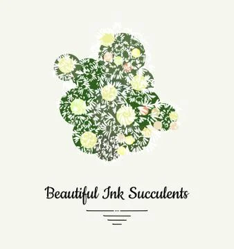 Cactus hand drawn succulent vector isolated illustration. Modern ink succulen Stock Illustration