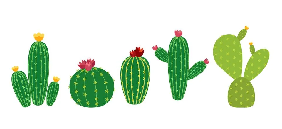 Cactus Icon Collection Set Vector Illustration Stock Illustration