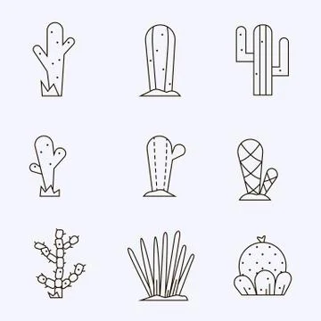 Cactus icon set.Vector collection of exotic plants. Stock Illustration
