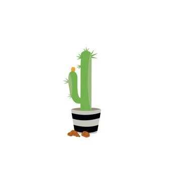 Cactus icons in a flat style on a white background Stock Illustration