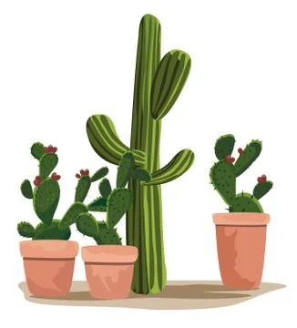Cactus Stock-Illustration