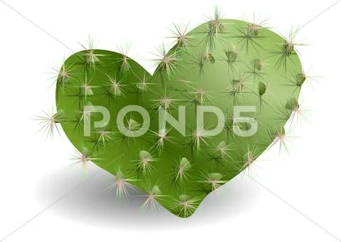 Cactus Stock Illustration