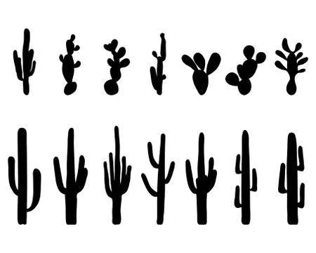 Cactus Stock Illustration