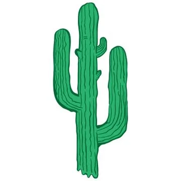 Cactus Stock Illustration