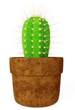 Cactus Stock Illustration