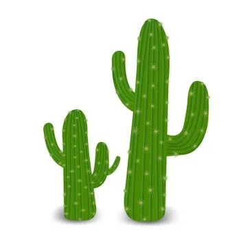 Cactus Stock Illustration