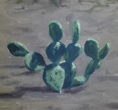 Cactus Stock Illustration