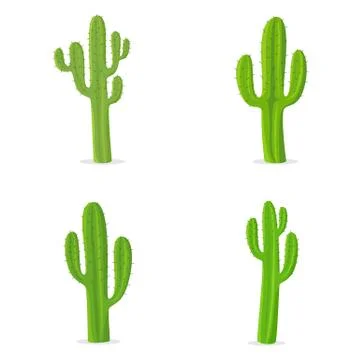 Cactus Illustrazione stock