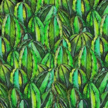 Cactus Illustrazione stock