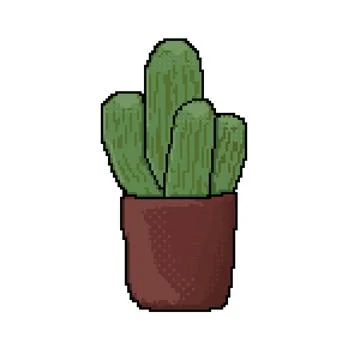 Cactus 库存插图