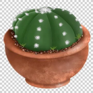 Cactus Stock Illustration