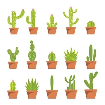 Cactus illustration flat design 스톡 일러스트