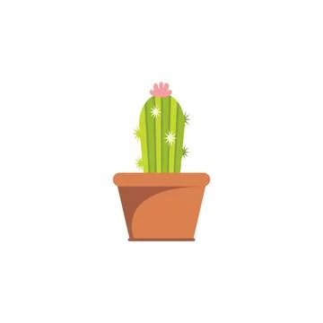 Cactus illustration Illustration