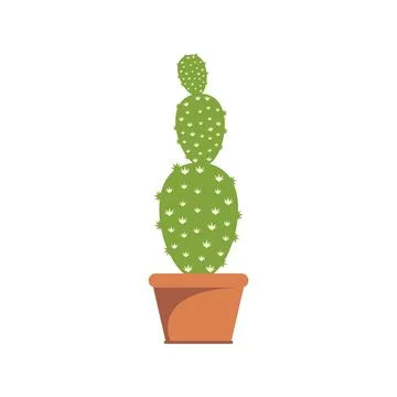 Cactus illustration 스톡 일러스트