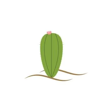 Cactus illustration Stock Illustration