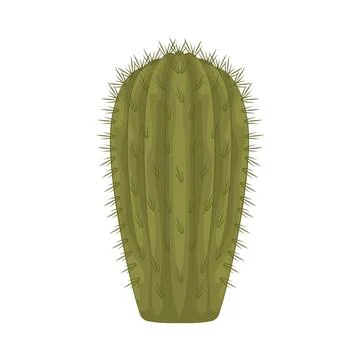 Cactus illustration Illustration